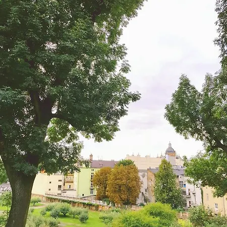 Shishkin * Cracovie
