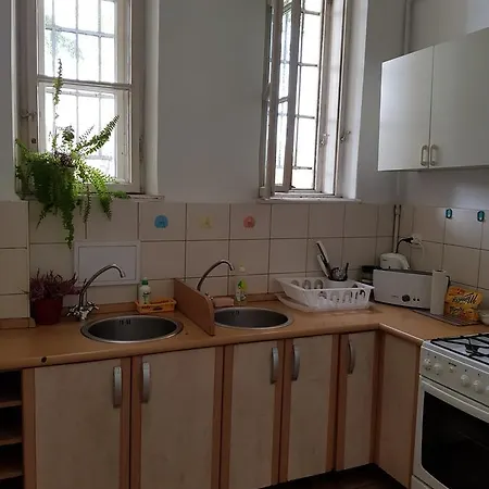 Appartement Shishkin *
