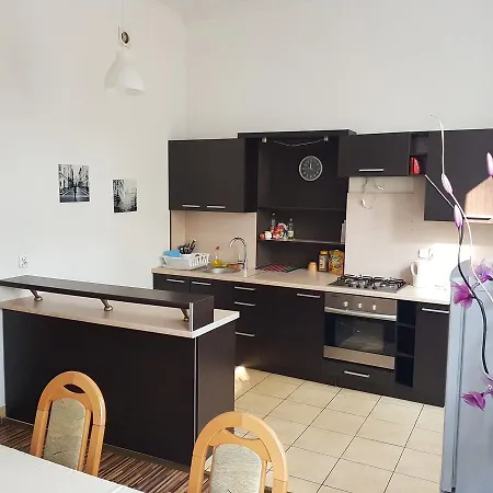 Shishkin Appartement