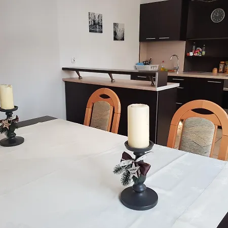 Shishkin Appartement *