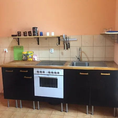 Shishkin Appartement